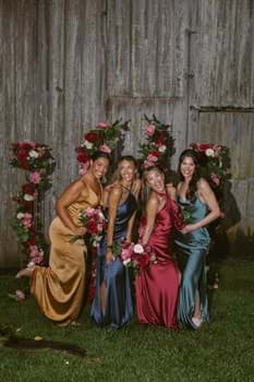 Picture for category Stella