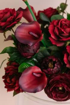 Picture for category Stella