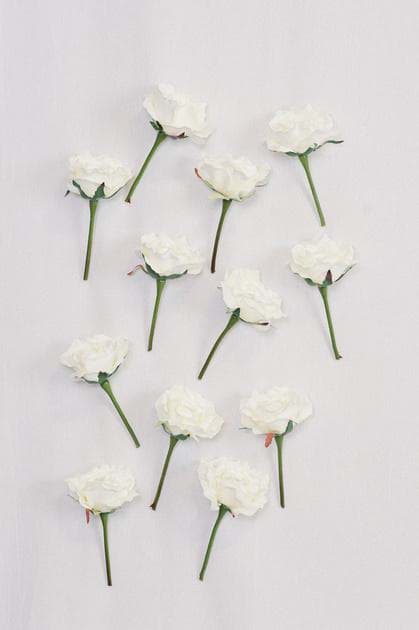 Picture of White Rose Buds