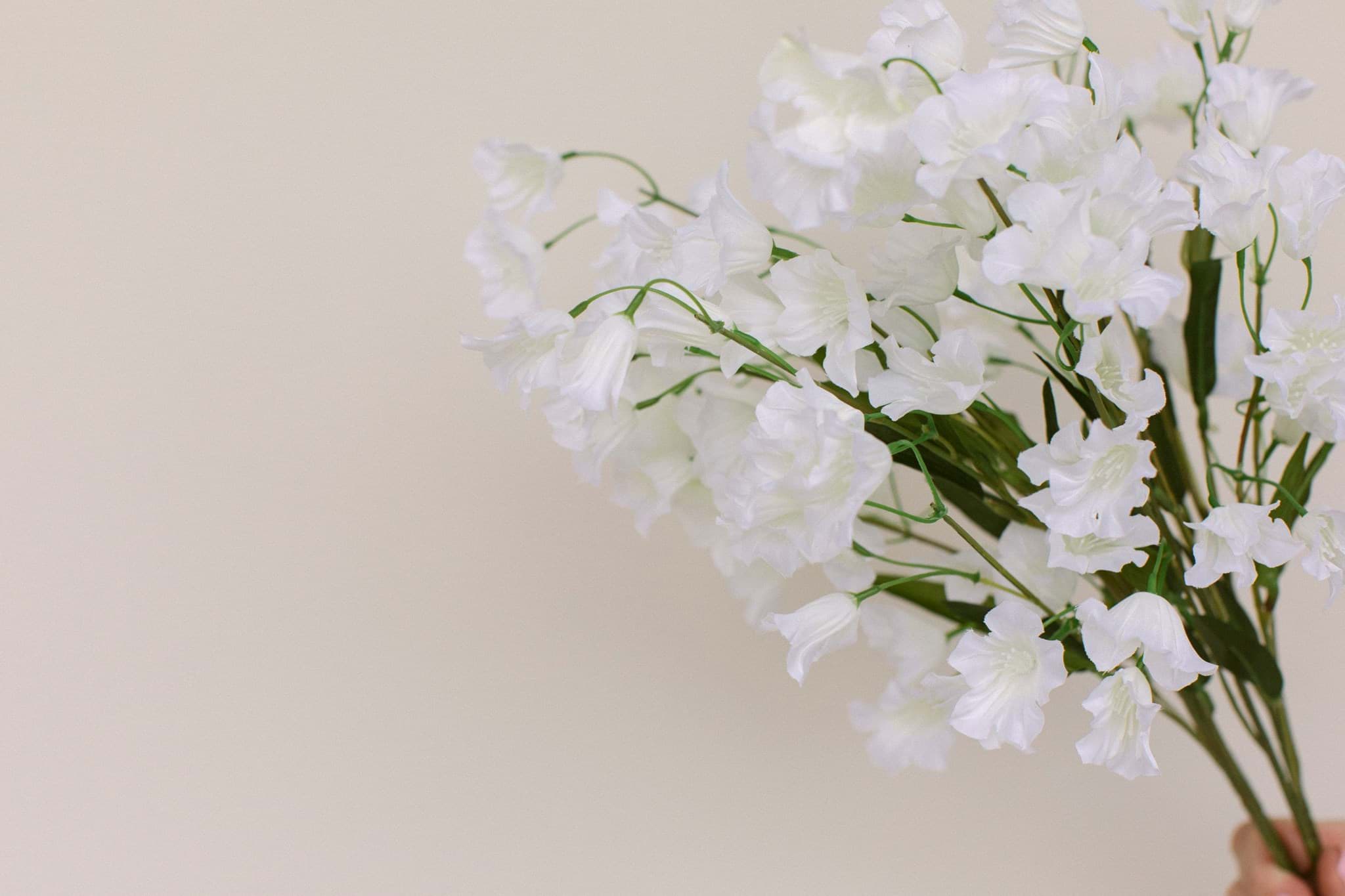 Picture of Bellflower Bush