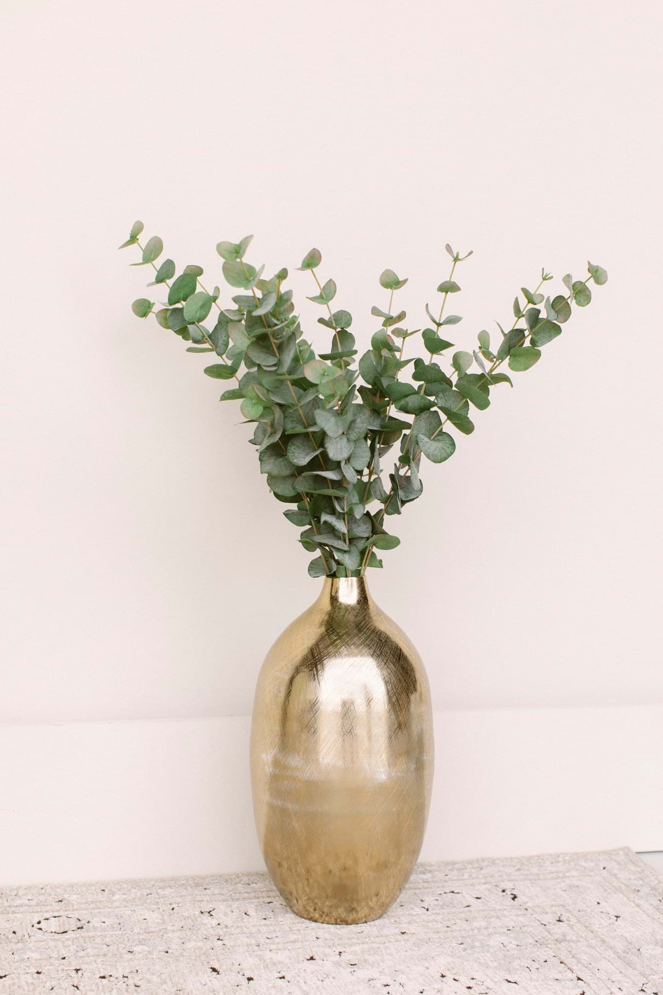 Picture of Eucalyptus Spray