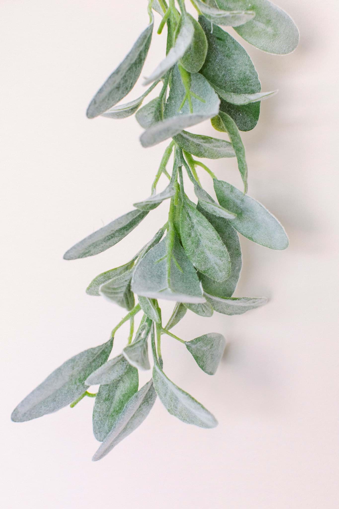 Picture of Lambs Ear Garland