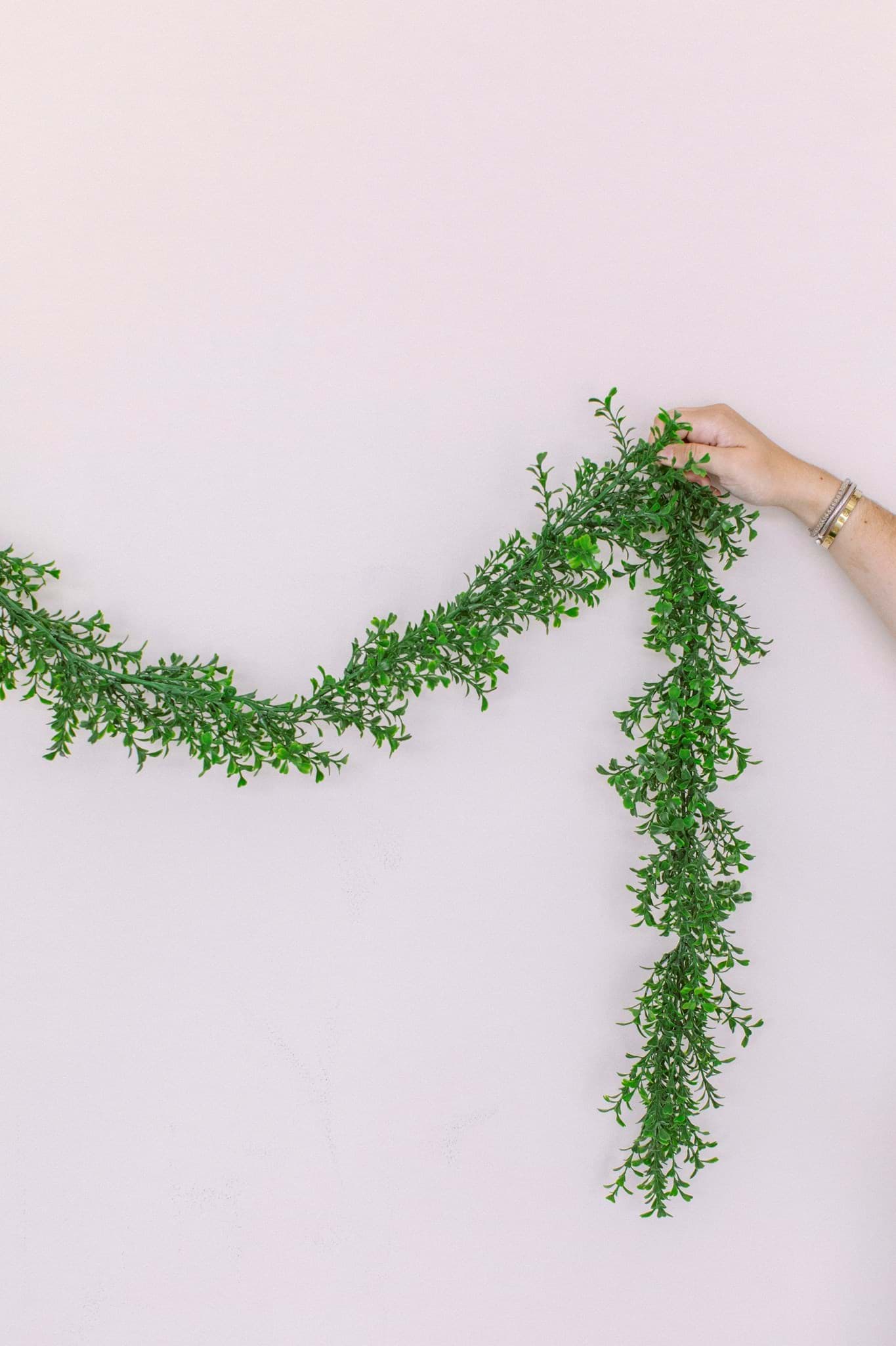 Picture of Boxwood Garland