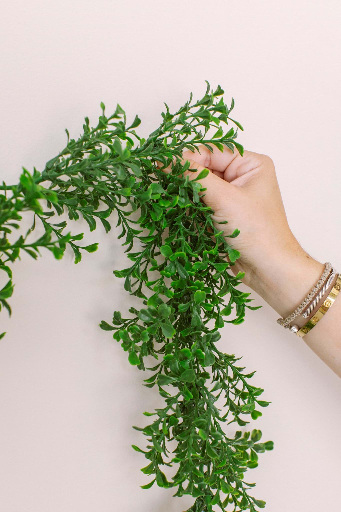 Picture of Boxwood Garland