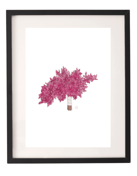Picture of Gemma Bougainvillea Watercolor Print