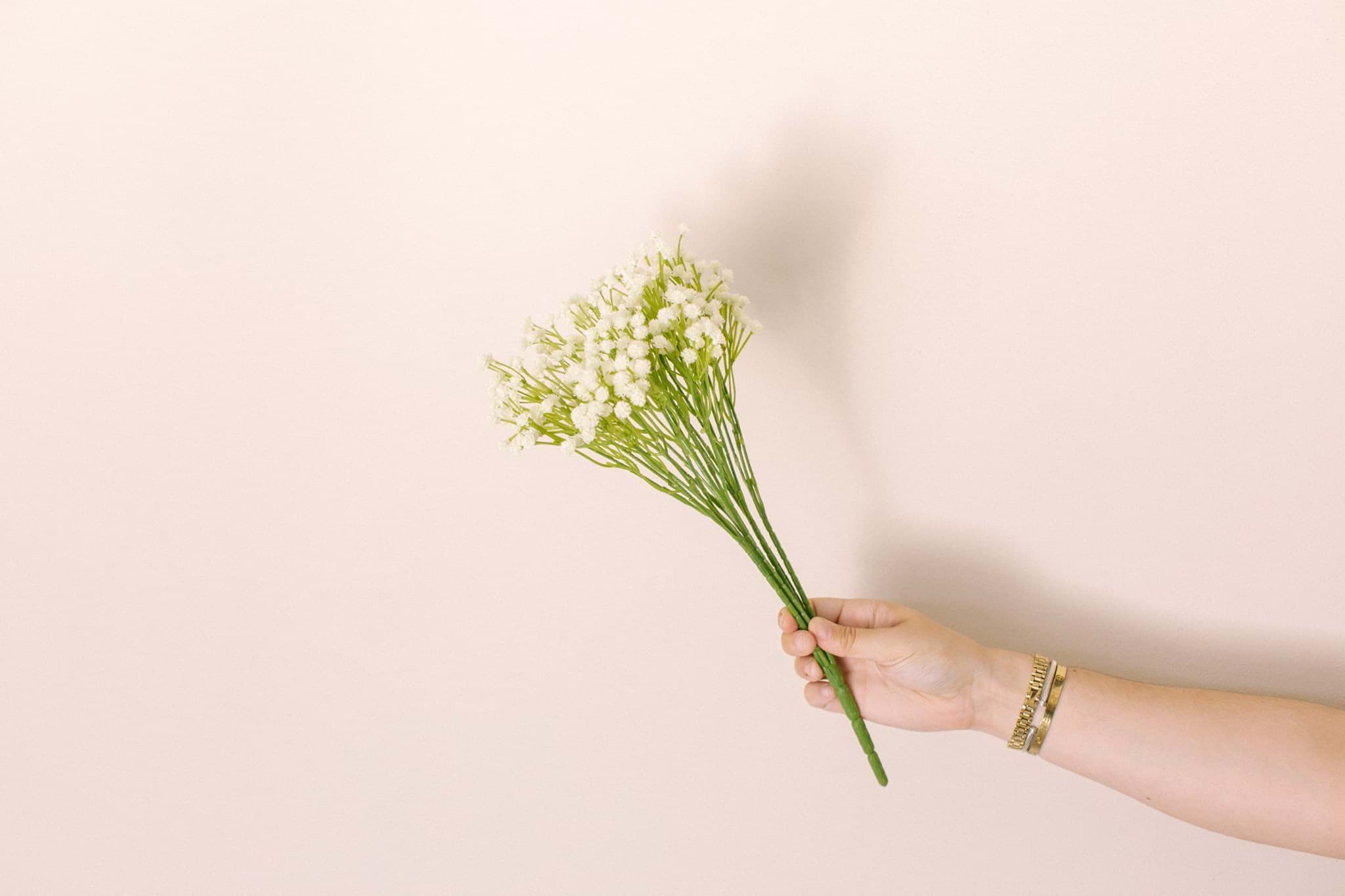 Picture of Baby's Breath Bush