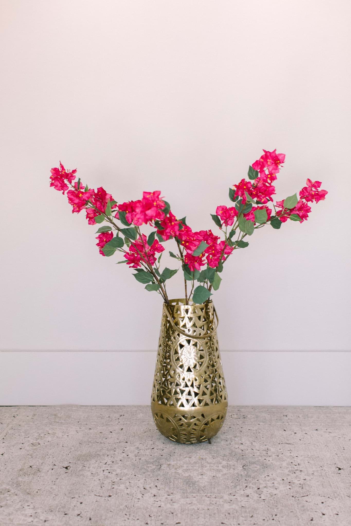 Picture of Bougainvillea Spray