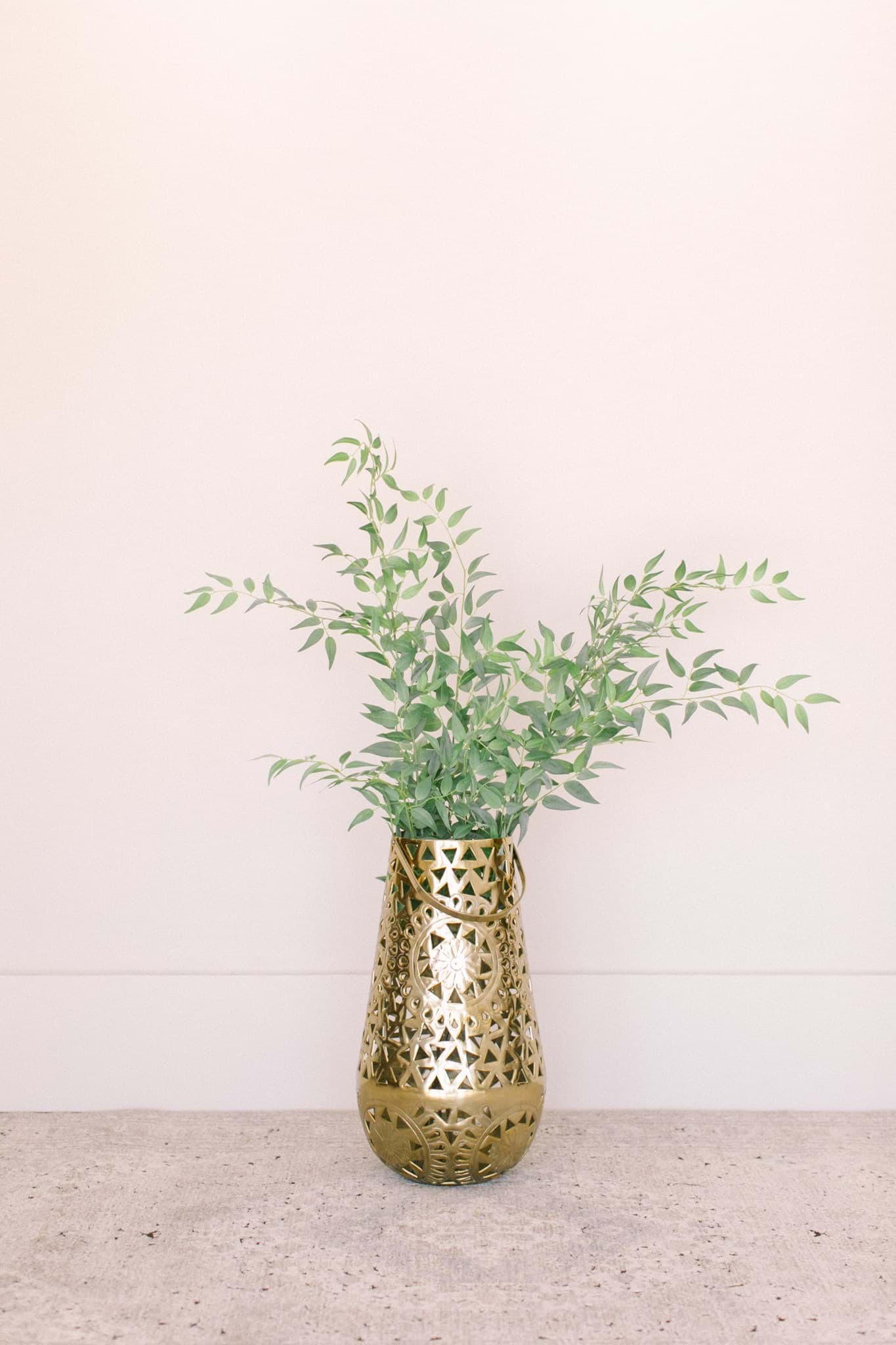 Picture of Italian Ruscus Bundle