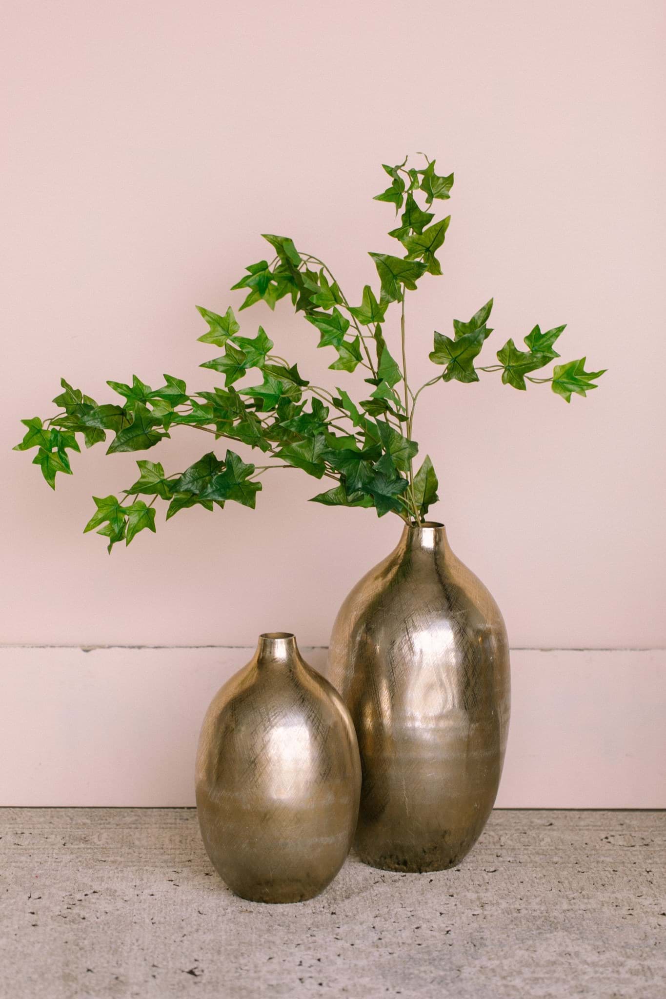 Picture of Ivy Vine