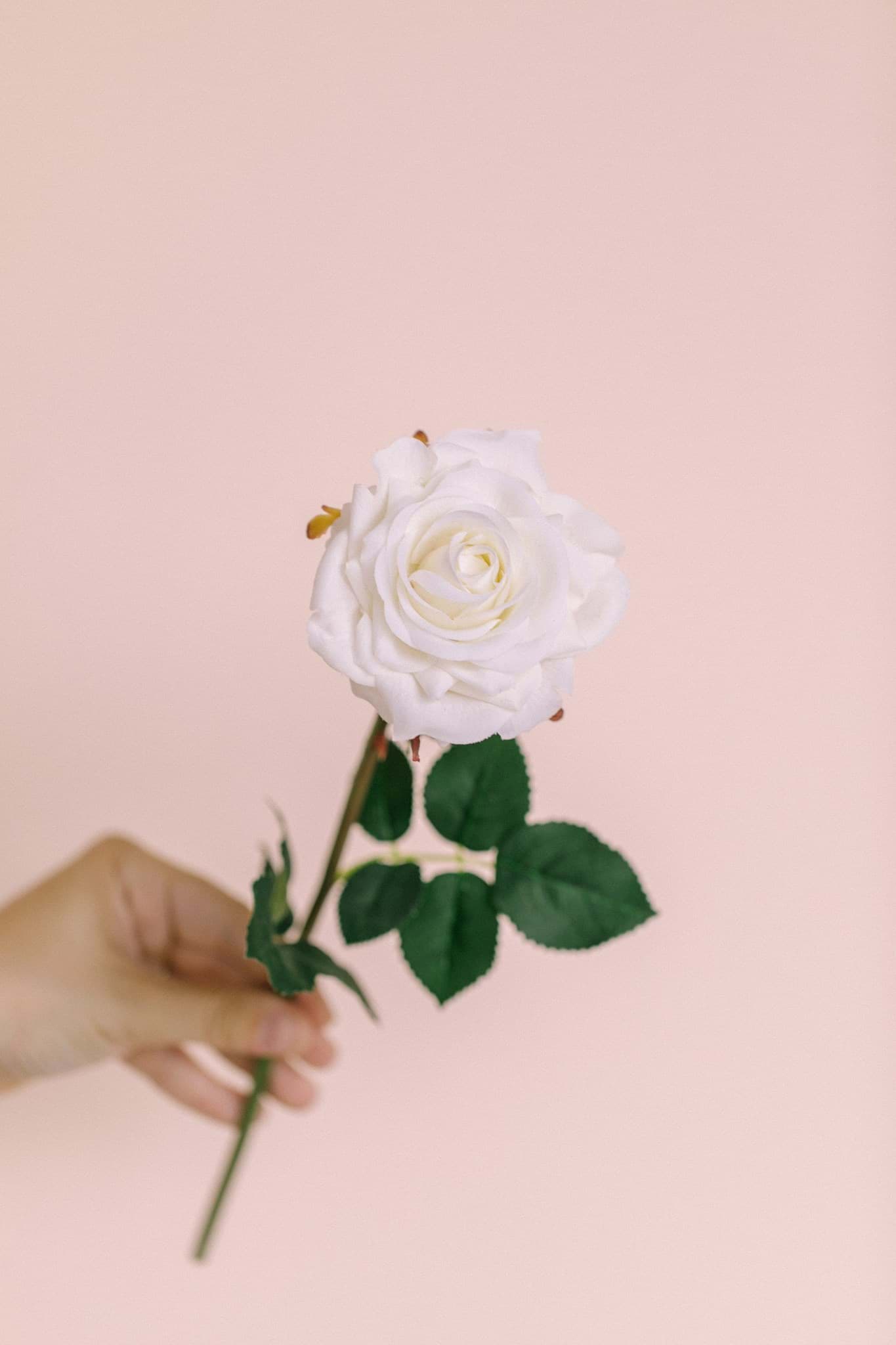 Picture of Real Touch Rose Spray