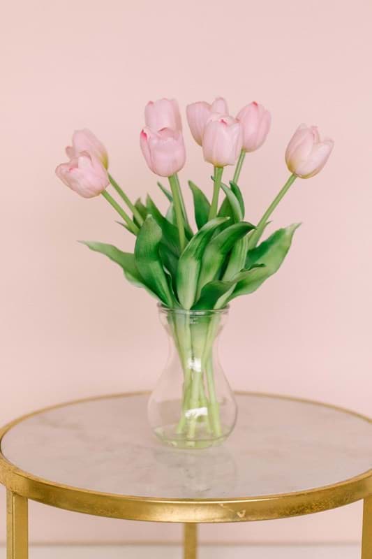 Picture of Light Pink Tulips