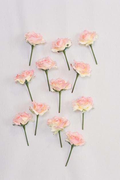 Picture of Pink Rose Buds