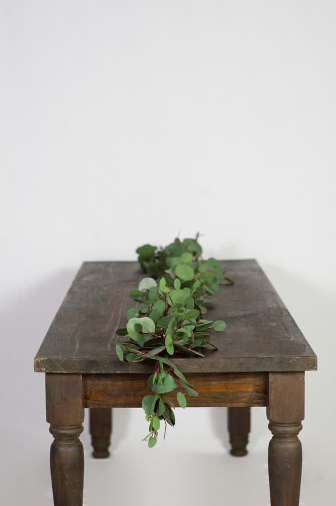 Picture of Silver Dollar Eucalyptus Garland