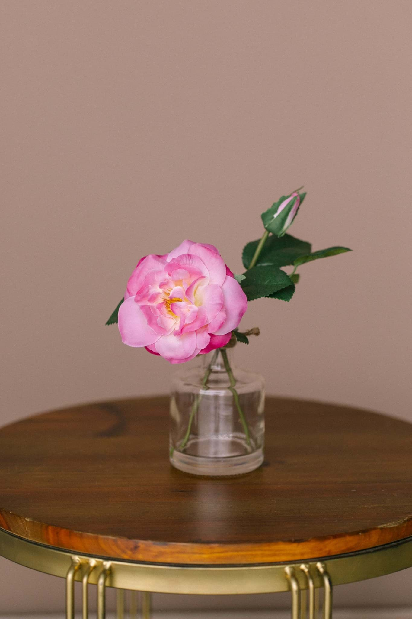 Picture of Petit Pink Camellia