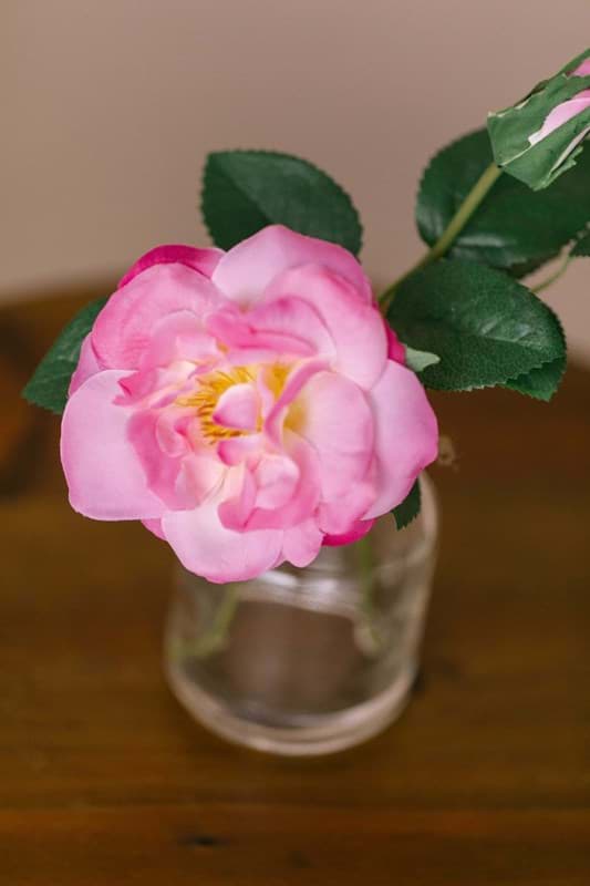 Picture of Petit Pink Camellia
