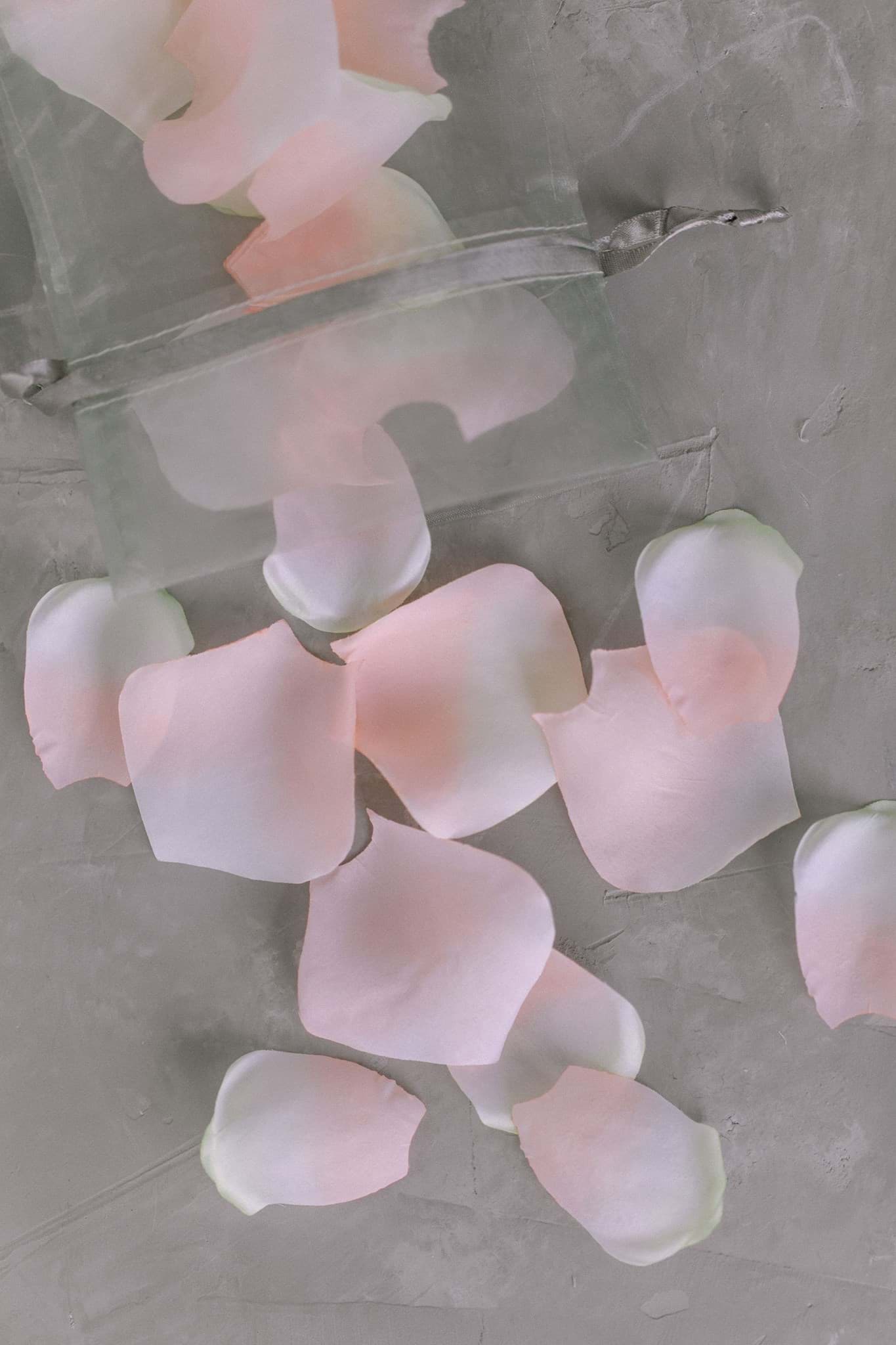 Picture of Blush Rose Petals (250)