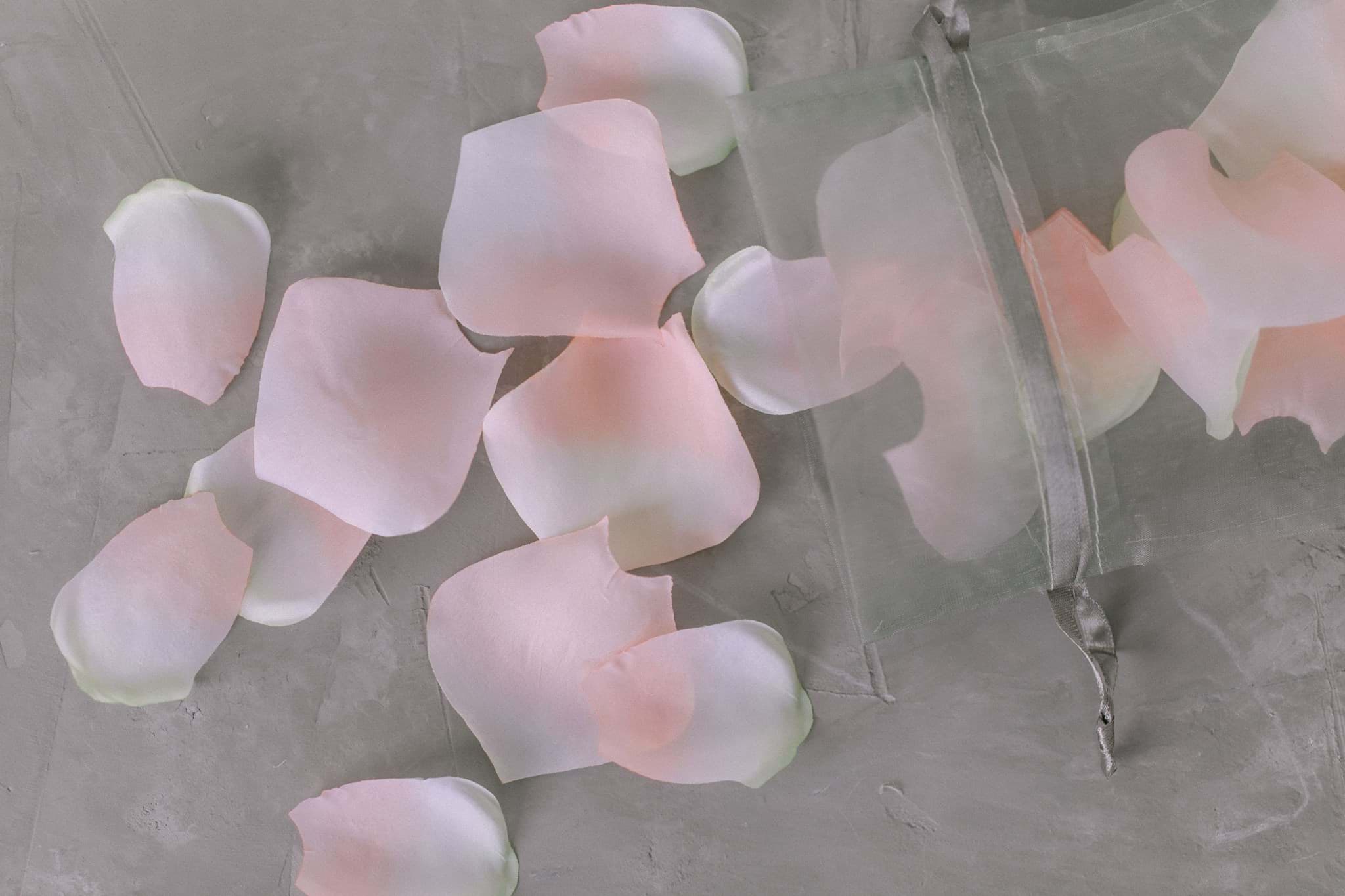 Picture of Blush Rose Petals