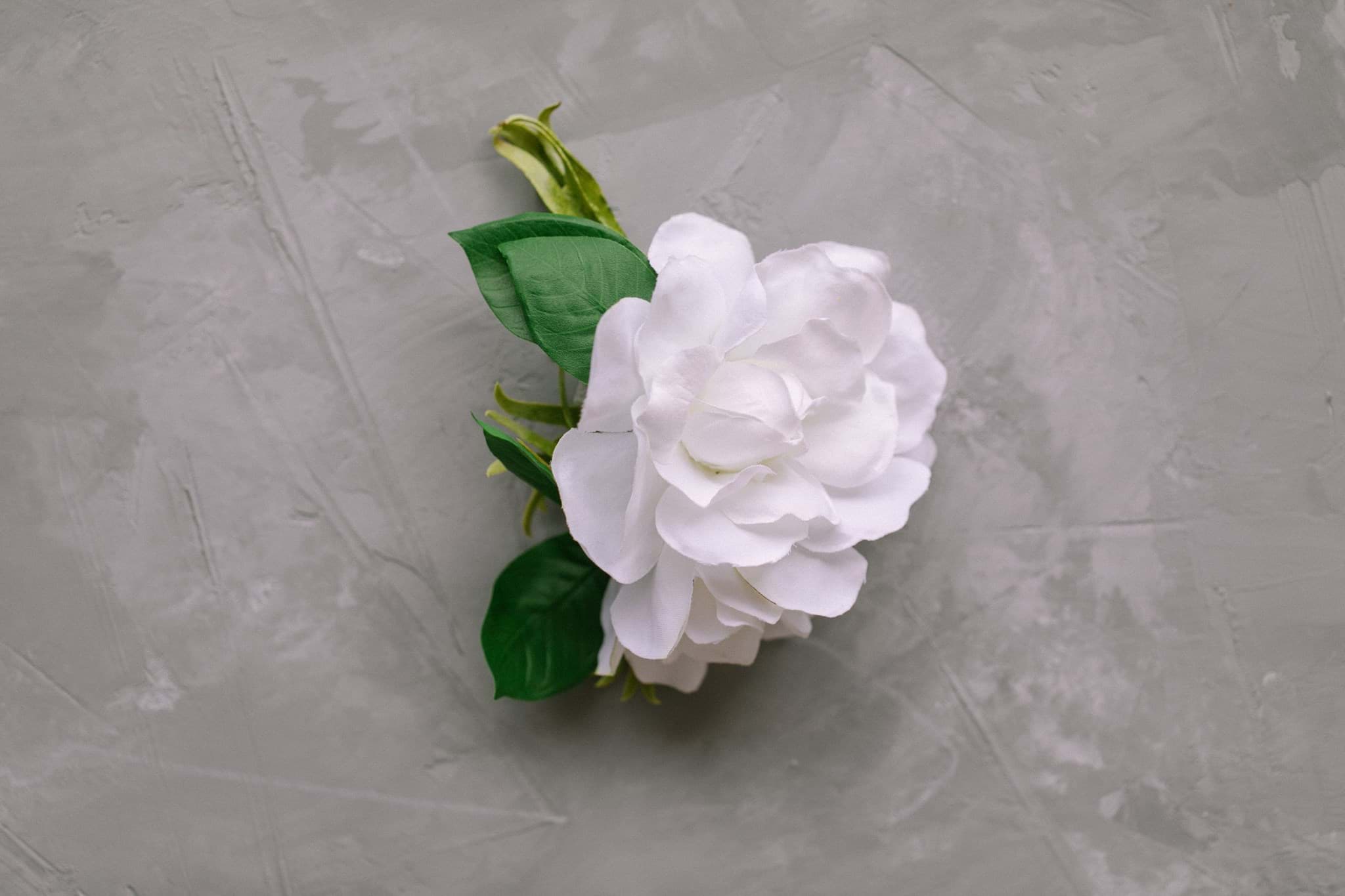 Picture of Shelbie Corsage