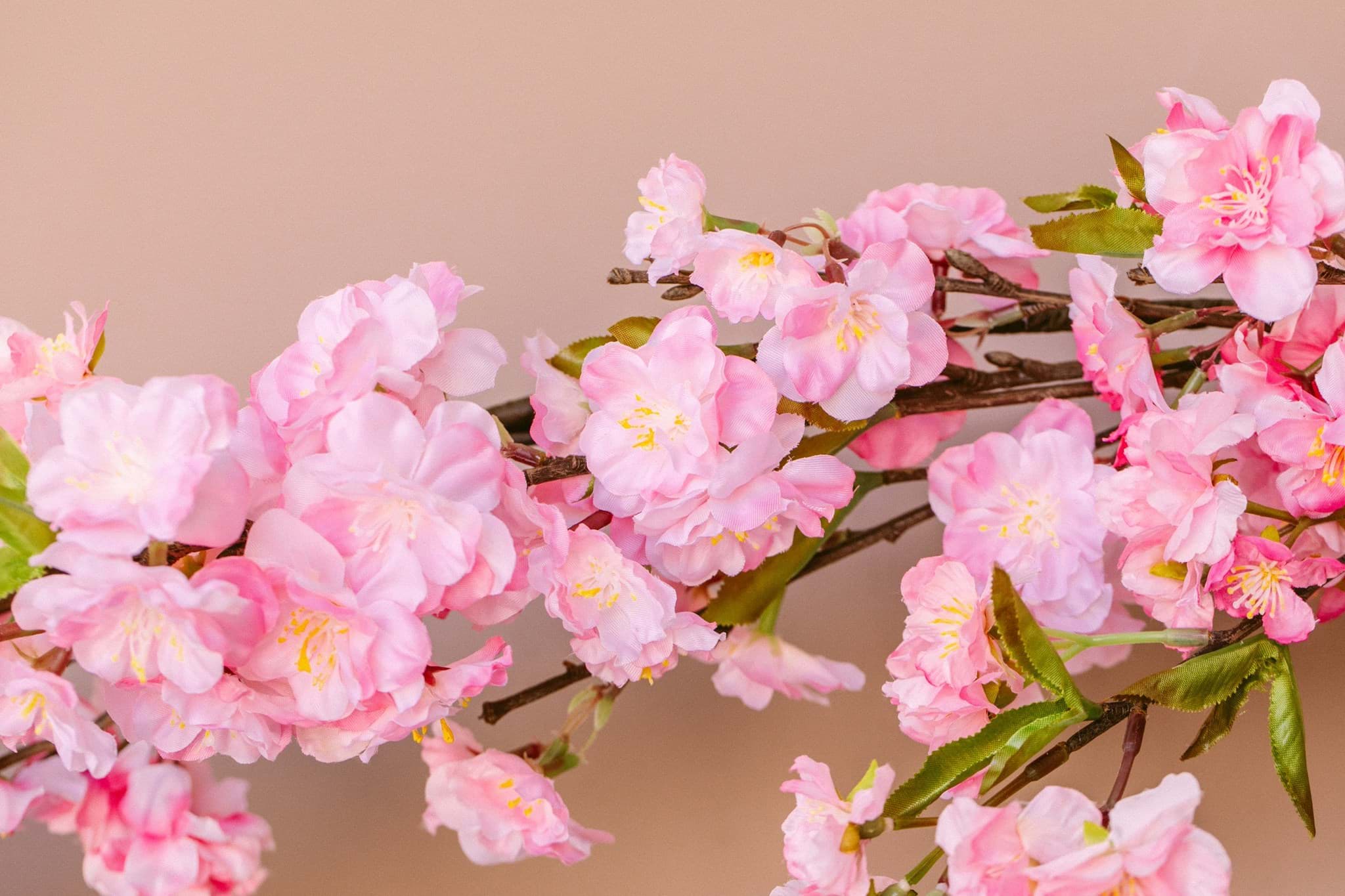 Picture of Premium Pink Cherry Blossom Garland