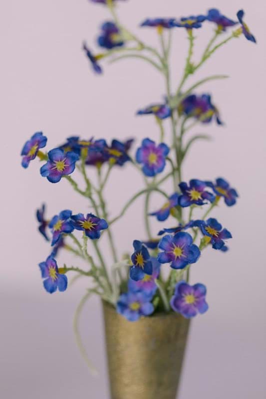 Picture of Forget Me Not Spray
