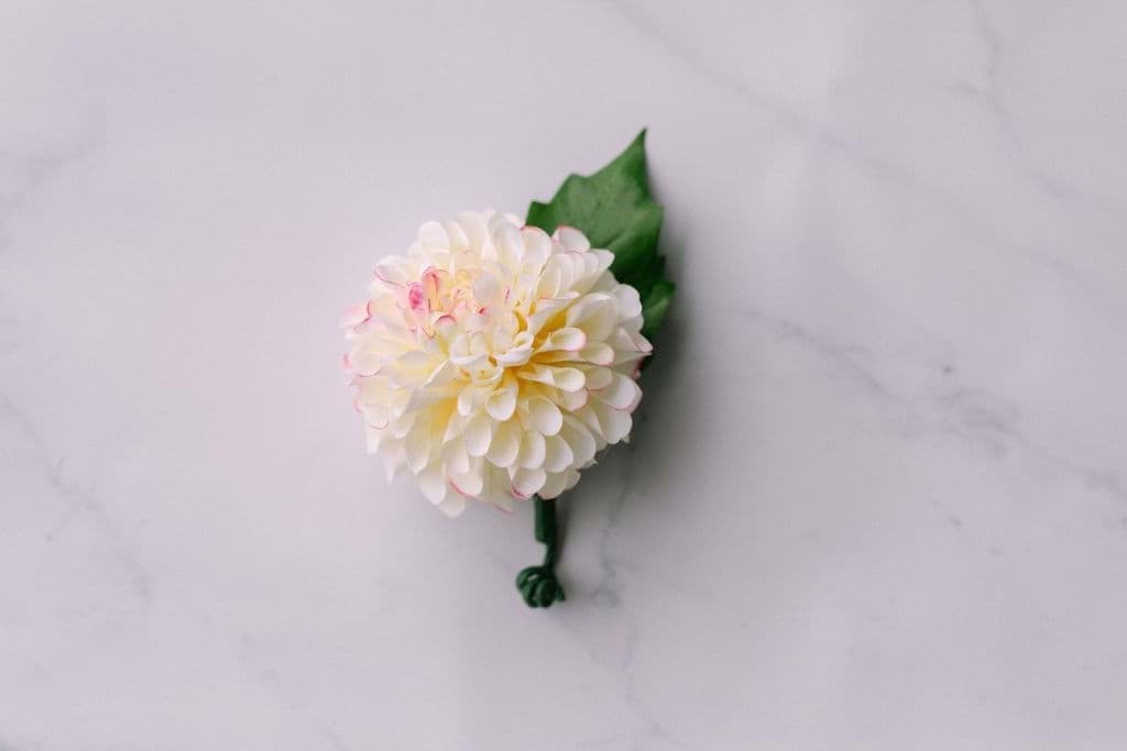 Picture of Eloise Boutonniere (Dahlia)