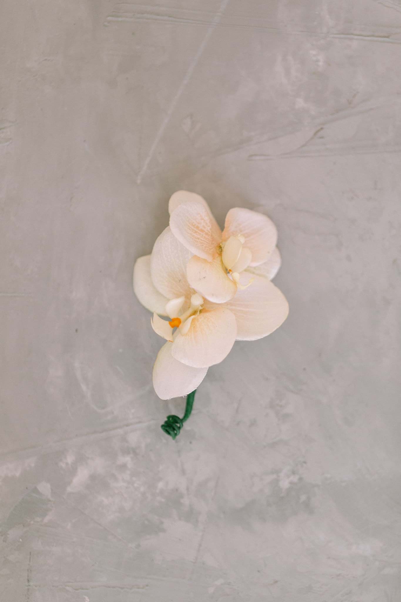 Picture of Wren Boutonniere (Double Orchid)