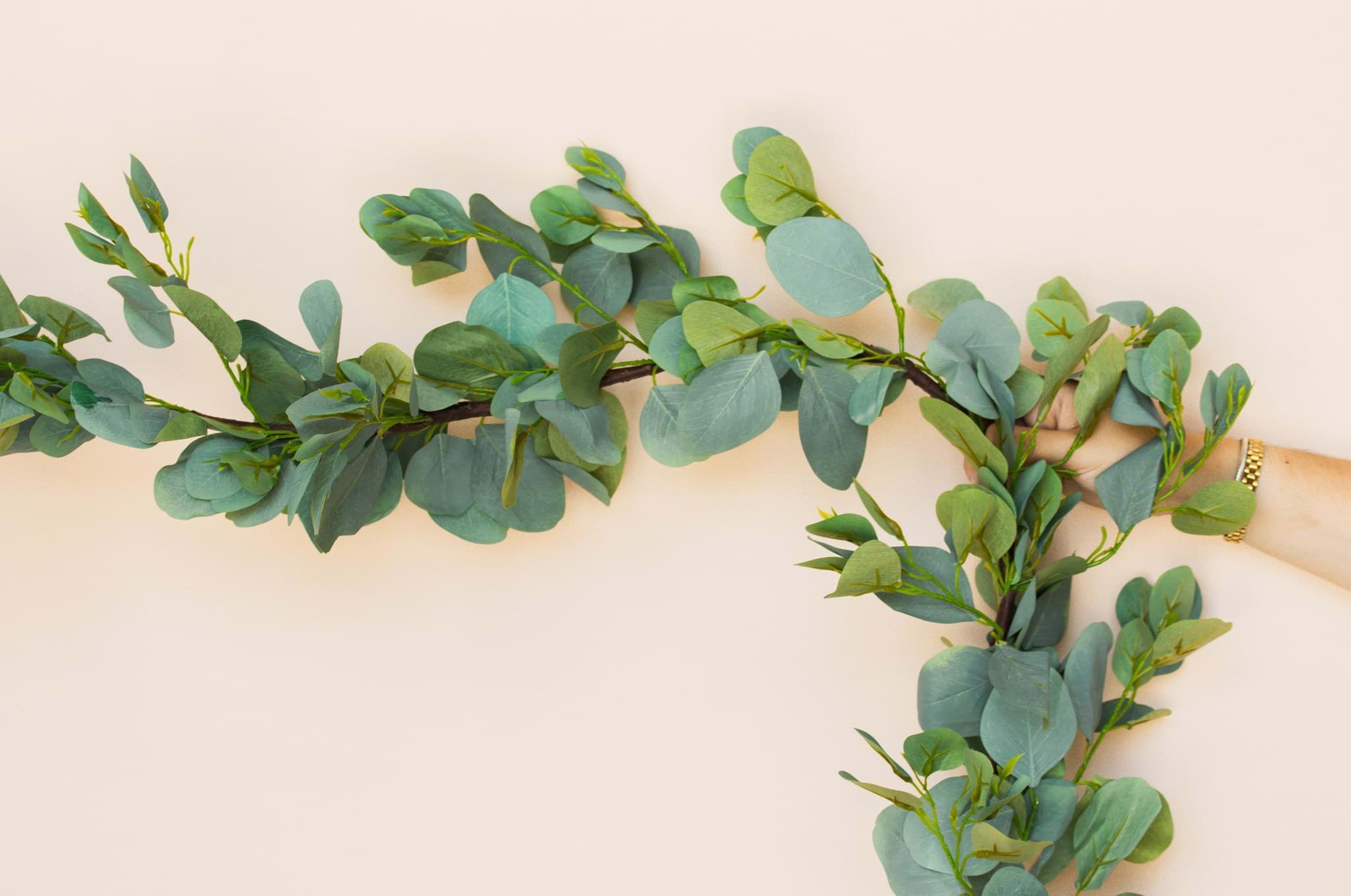 Picture of Oval Leaf Eucalyptus Garland