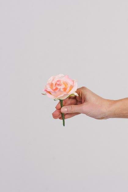 Picture of Pink Rose Buds
