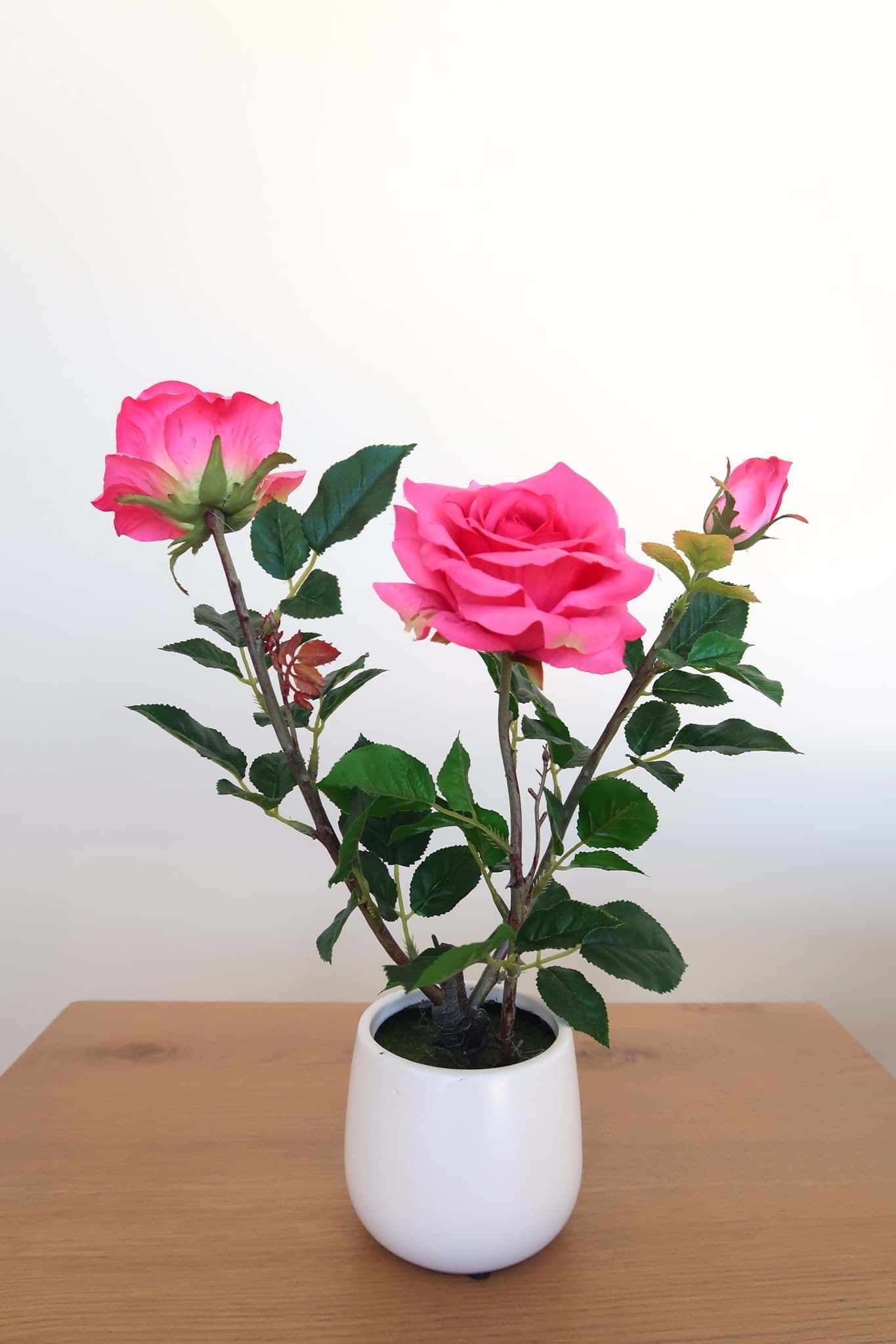 Picture of Pink Rose in Ceramic Vase