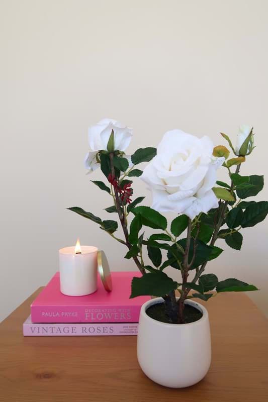 Picture of White Rose in Ceramic Vase