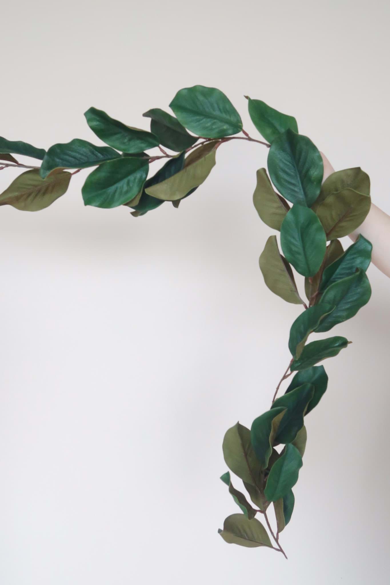 Picture of Magnolia Leaf Garland