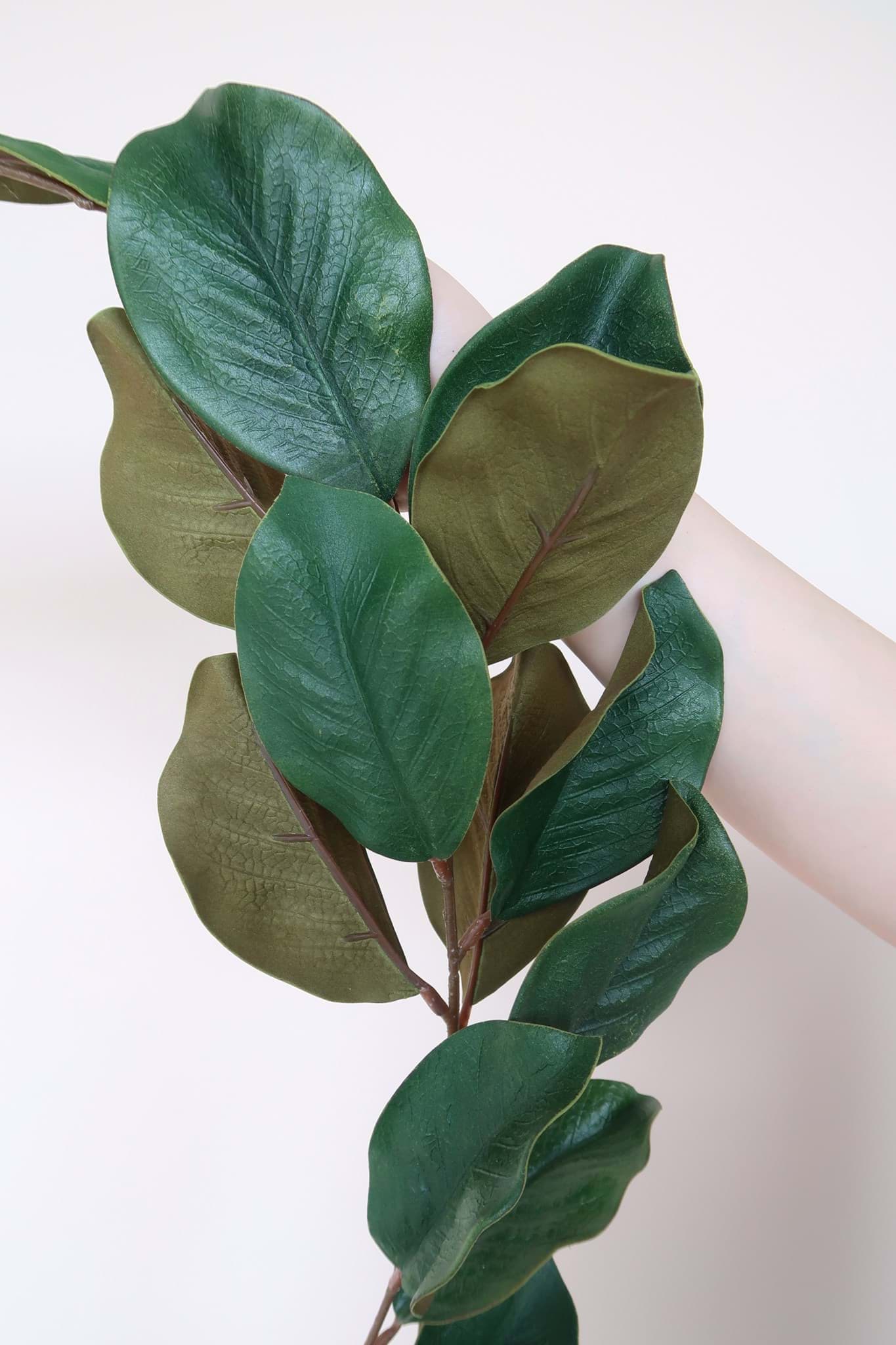 Picture of Magnolia Leaf Garland