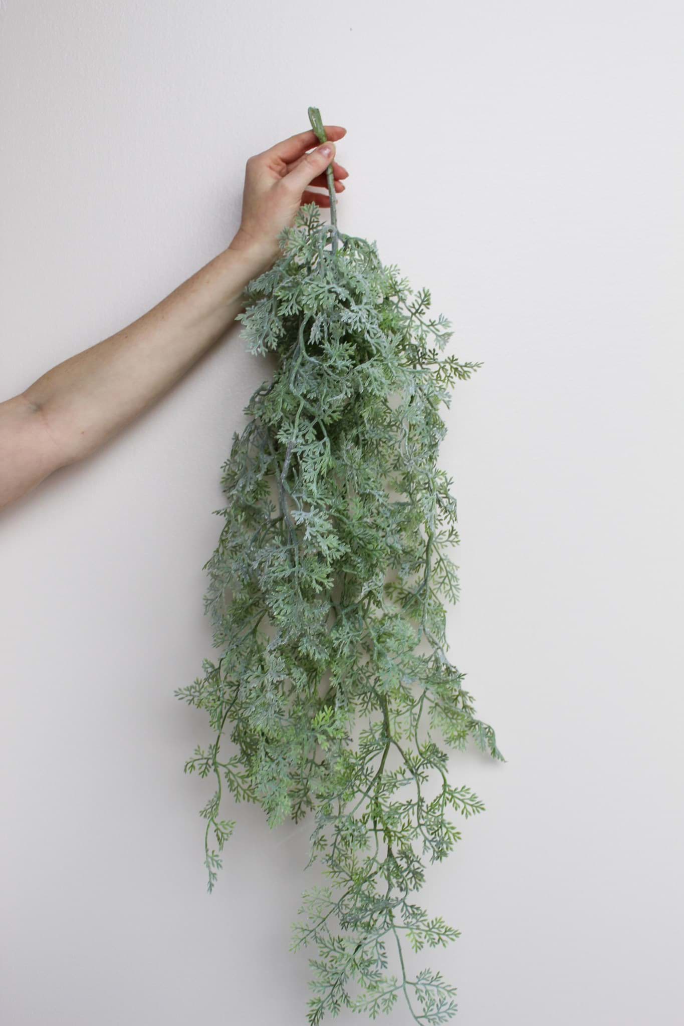 Picture of Dusty Miller Swag