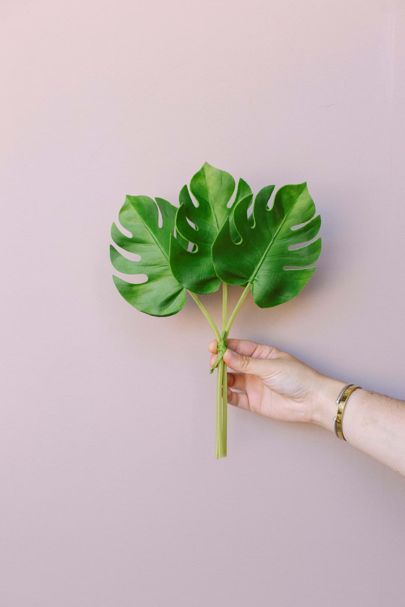Picture of Philo Leaf (Bundle of 3)