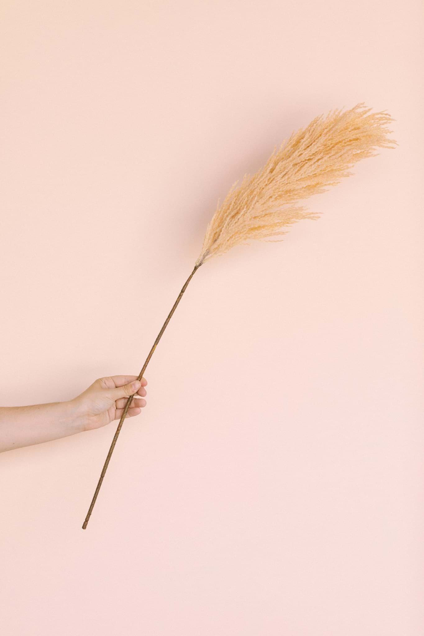 Picture of Peach Pampas Grass Spray