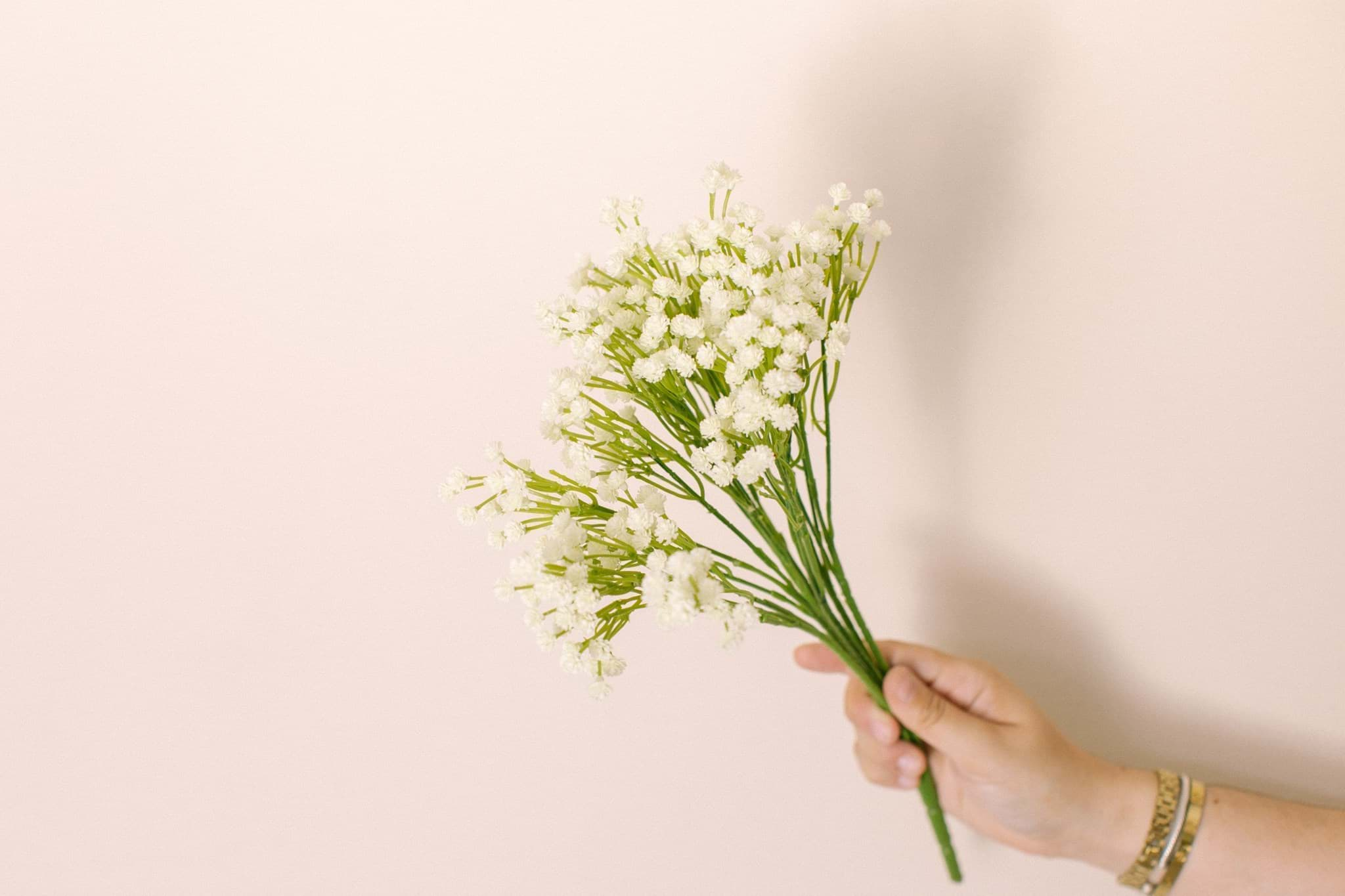 Picture of Baby's Breath Bush