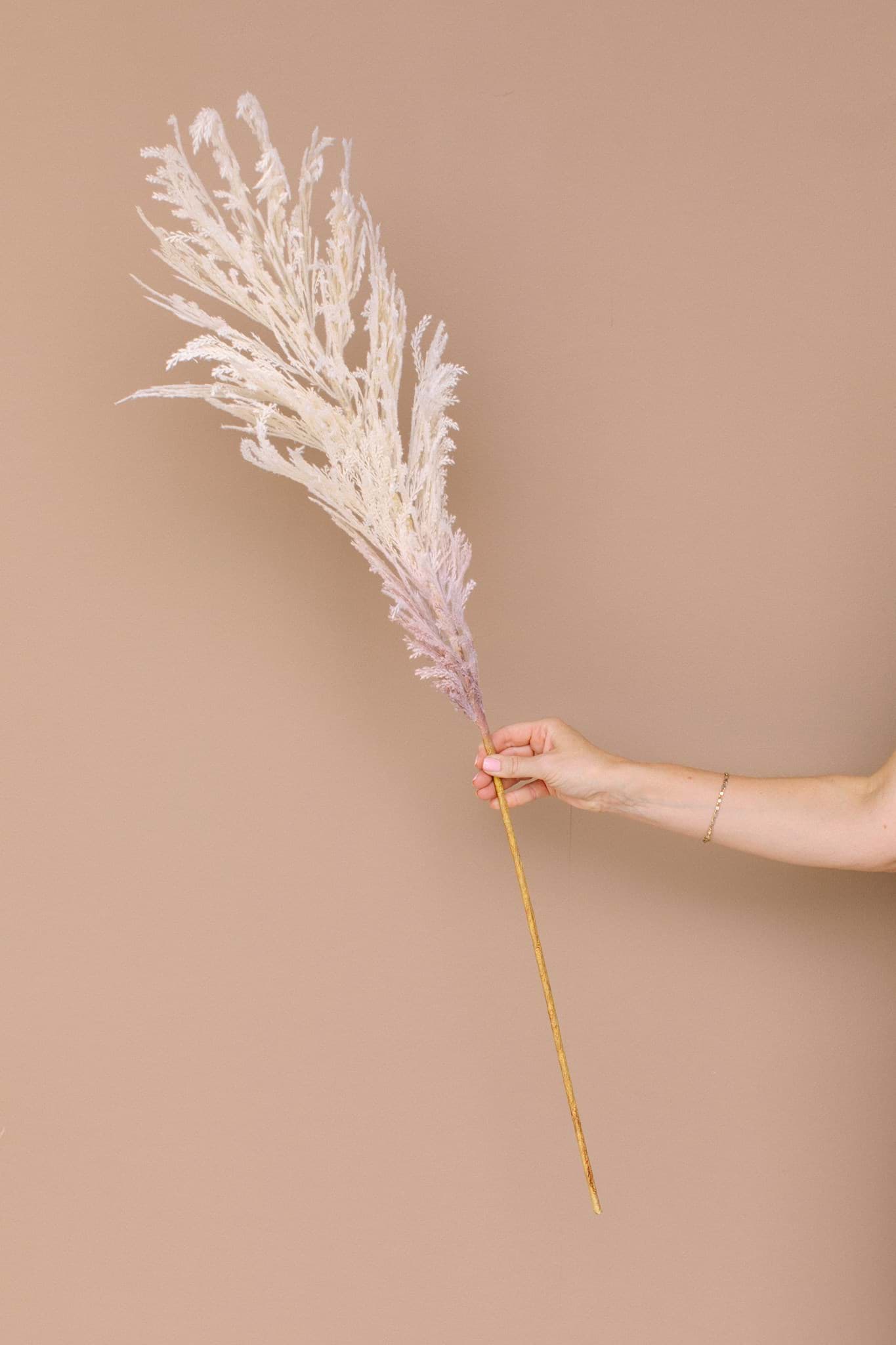Picture of Pampas Grass Pick