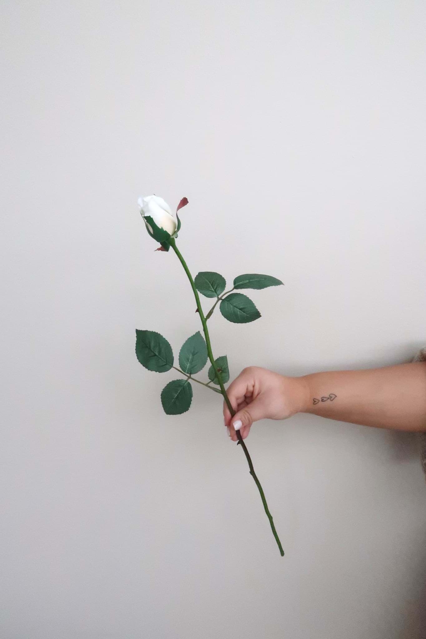 Picture of Vanilla Rose Bud