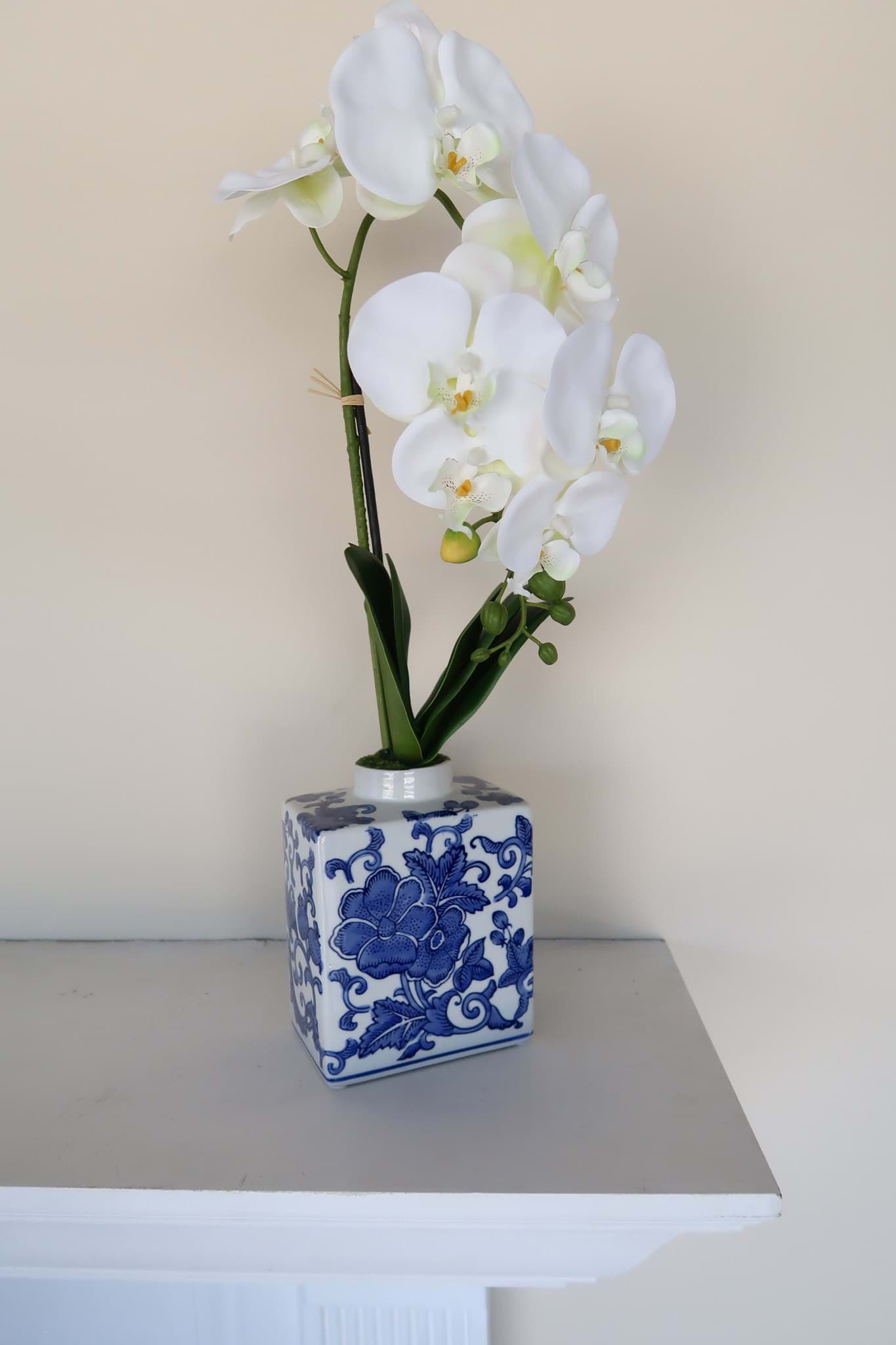 Picture of White Orchid in Chinoiserie Vase