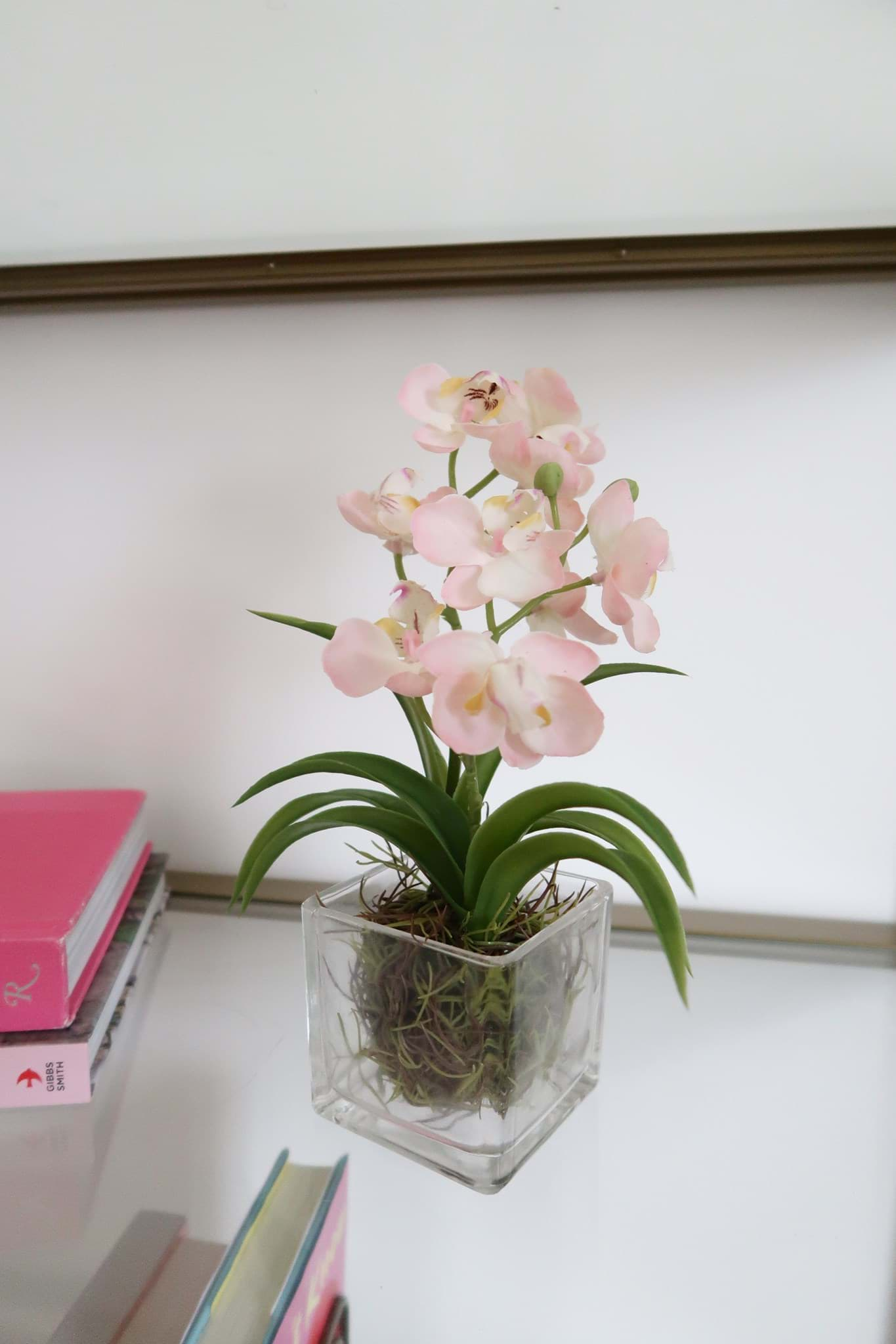 Picture of Pink Orchid in Glass Vase