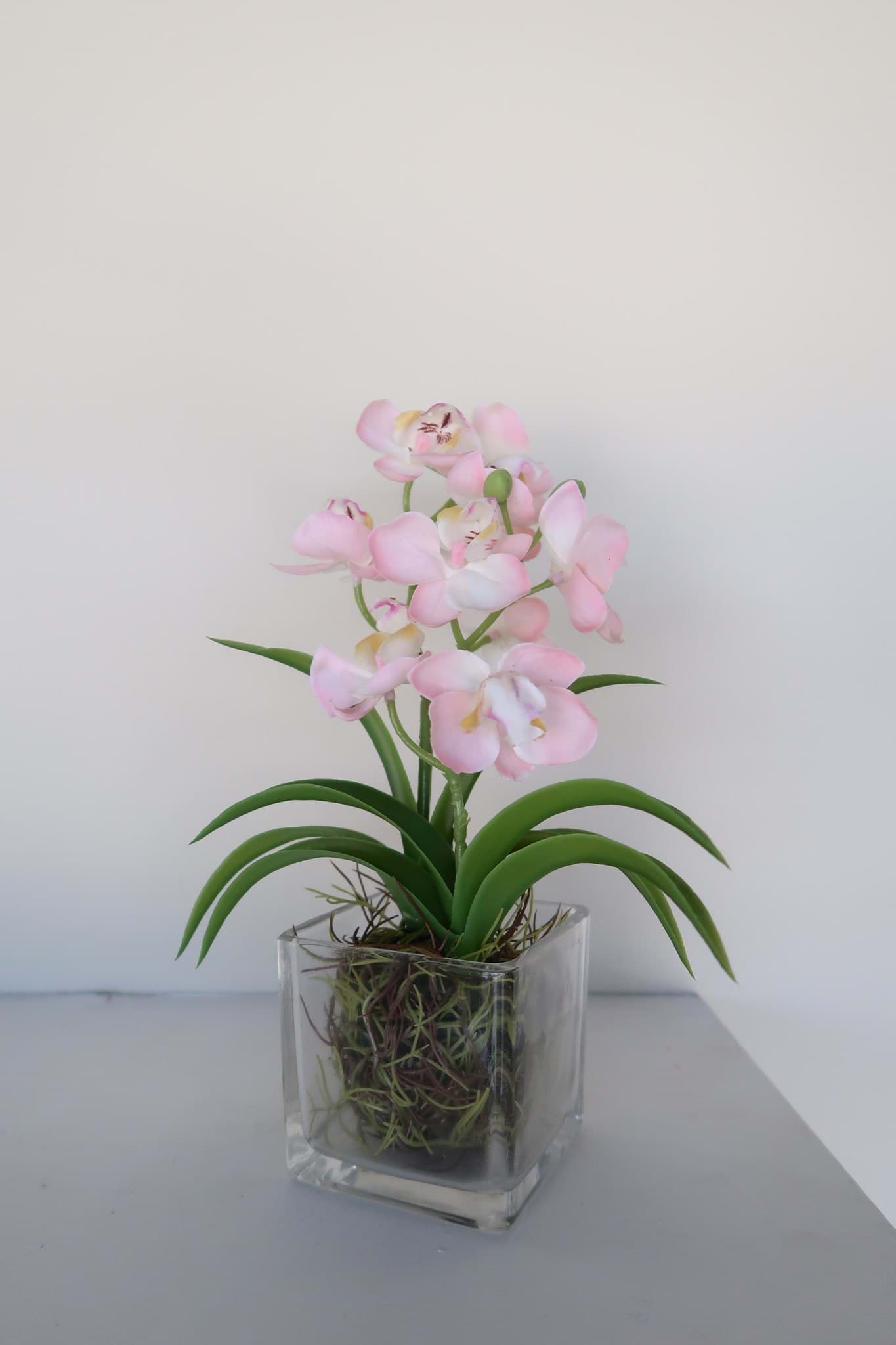 Picture of Pink Orchid in Glass Vase