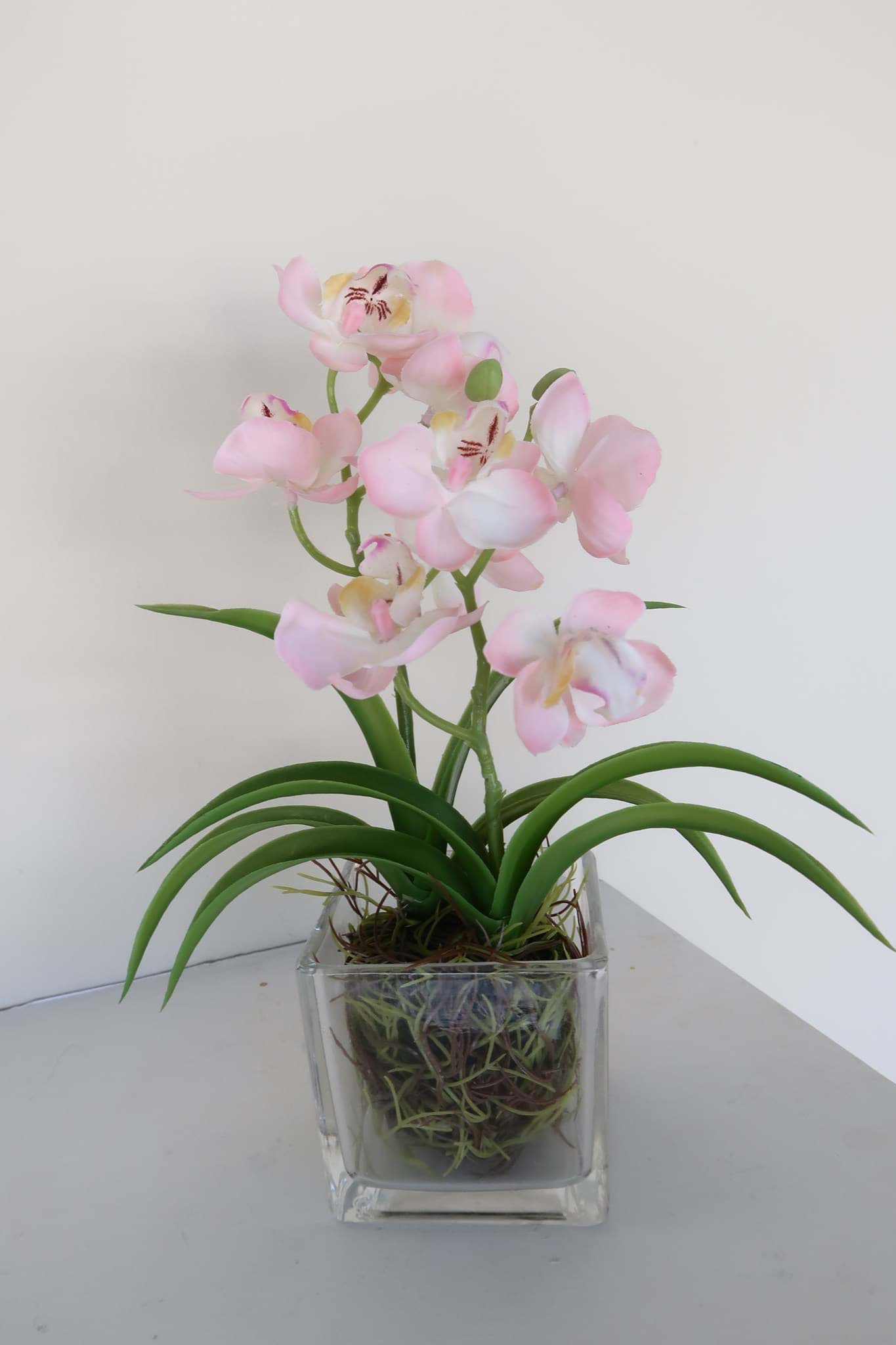 Picture of Pink Orchid in Glass Vase