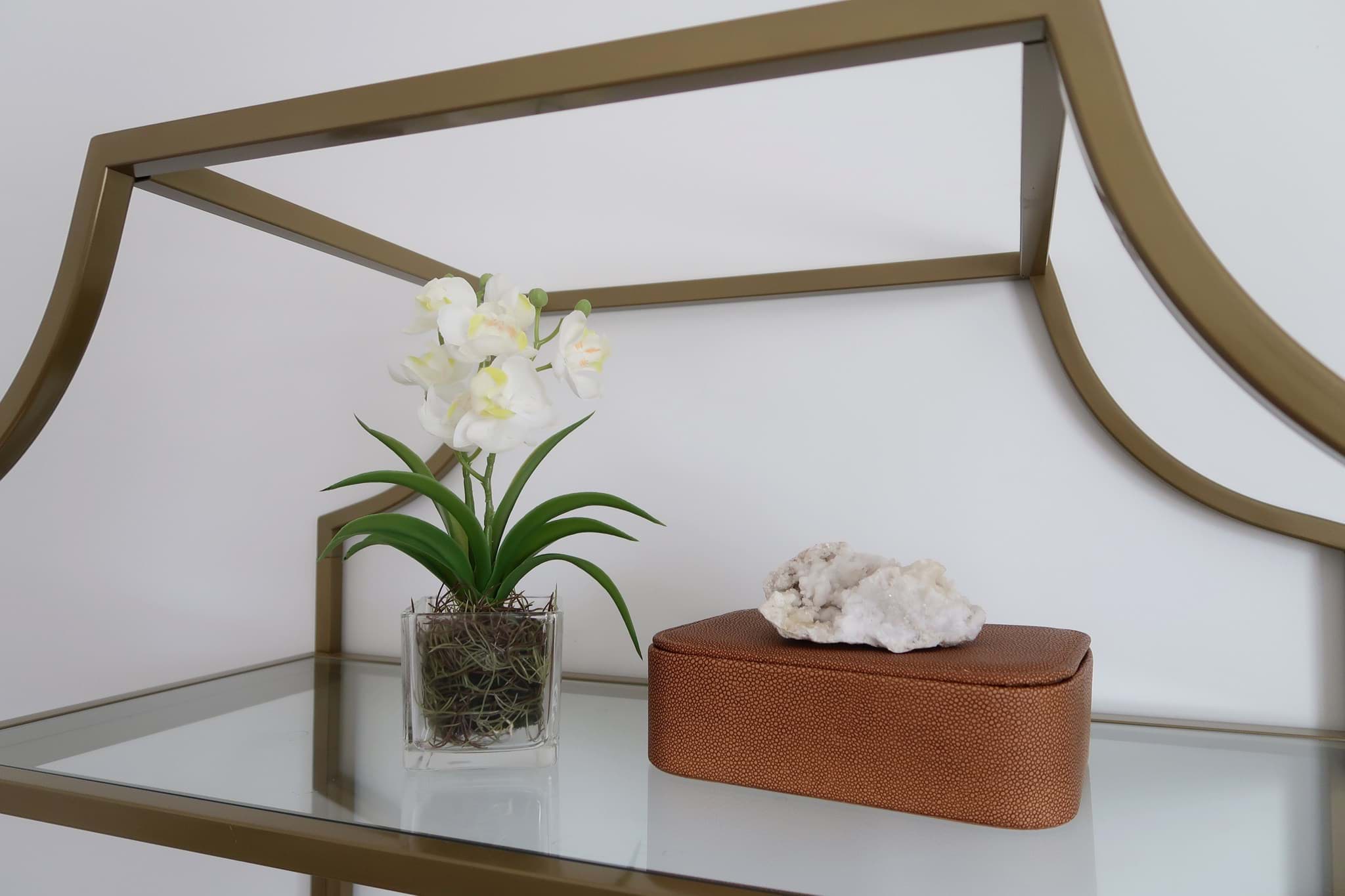 Picture of White Orchid in Glass Vase 