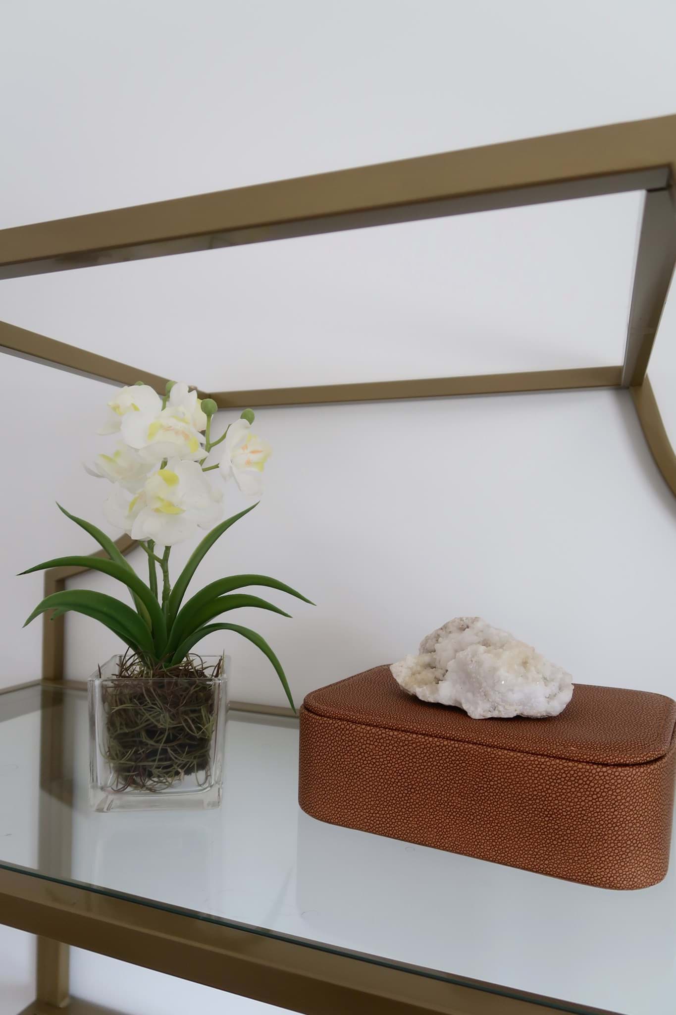 Picture of White Orchid in Glass Vase 