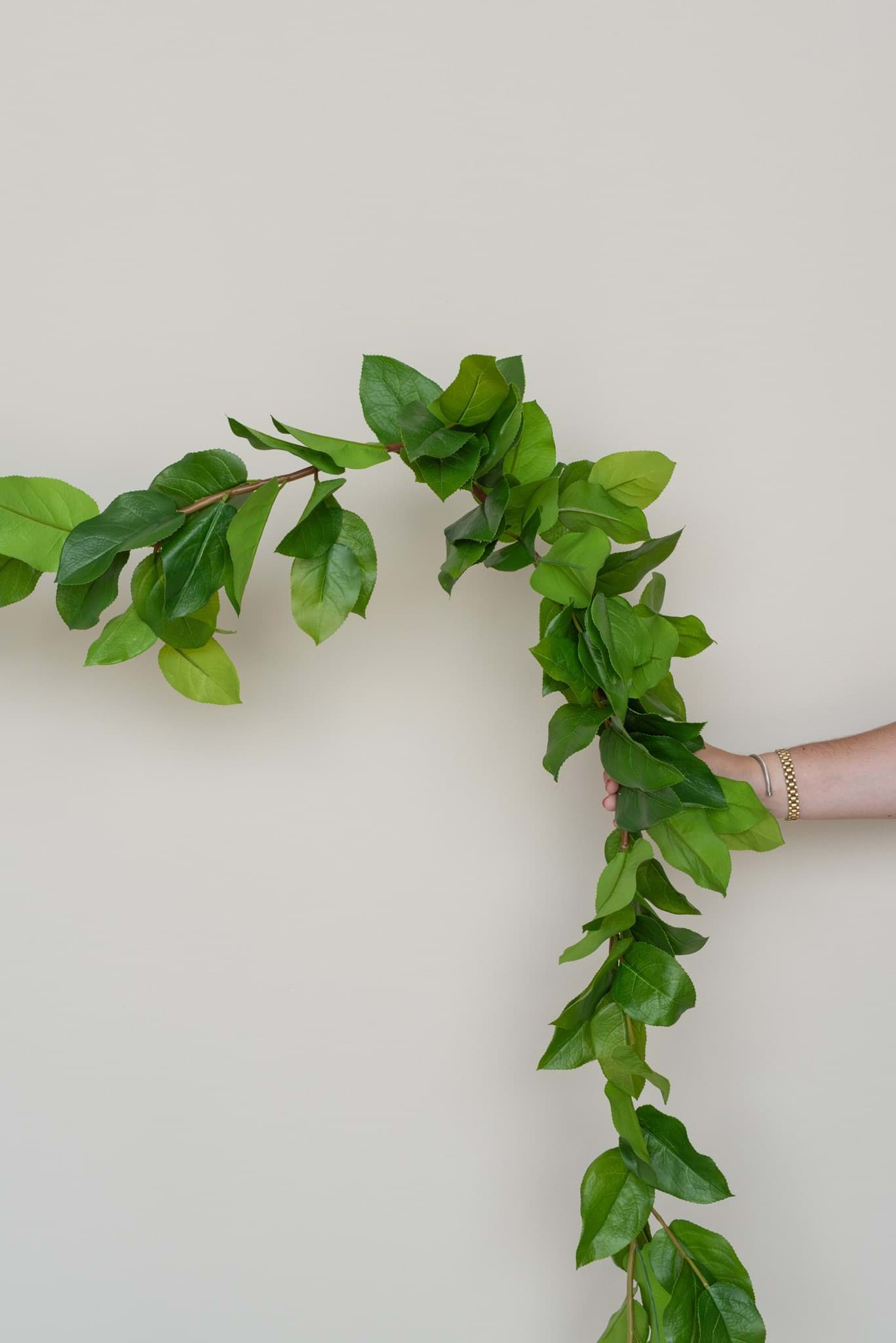 Picture of Salal Leaf Garland