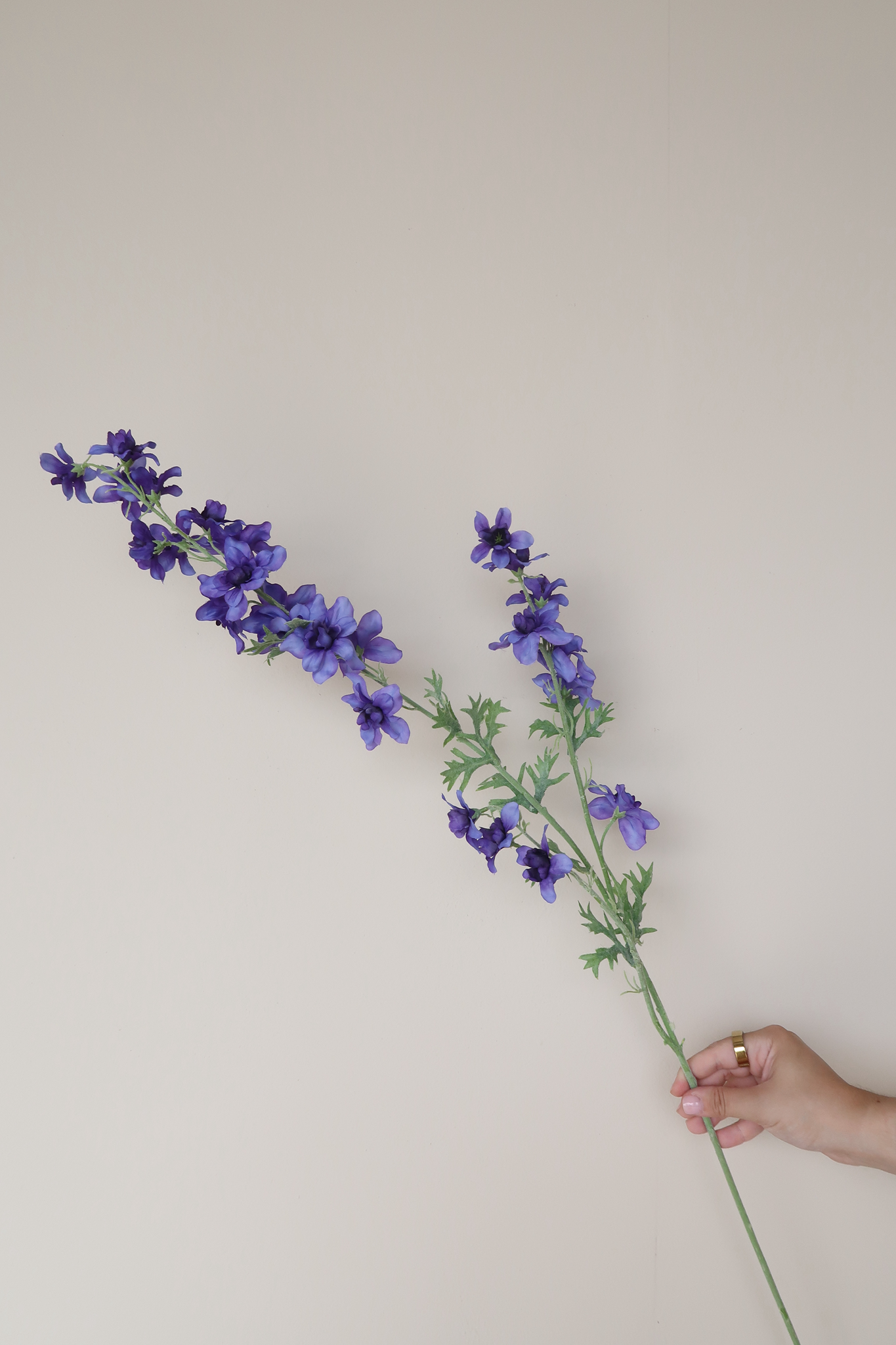 Picture of Delphinium Spray - Blue